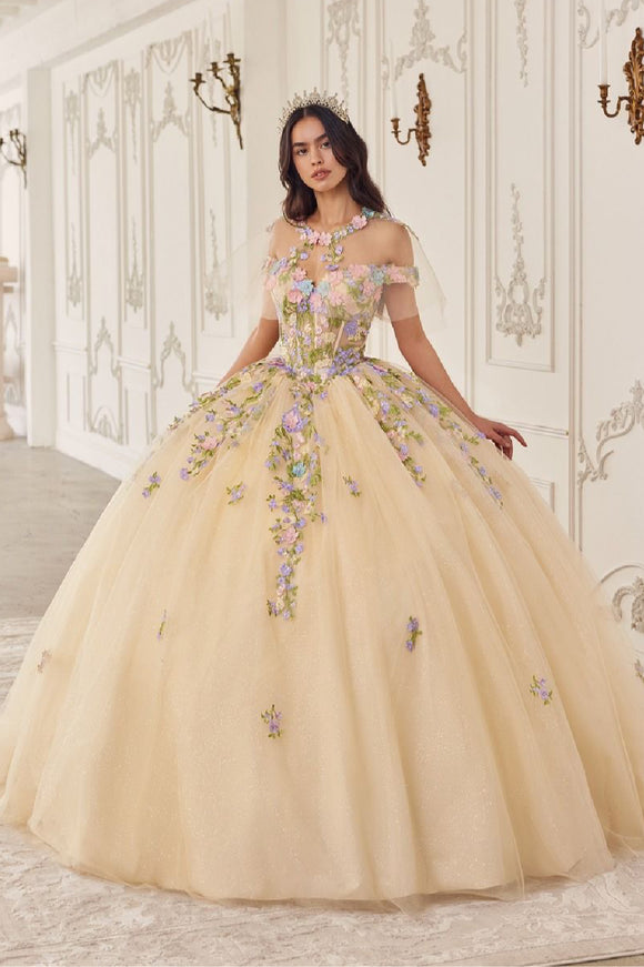 LaDivine by Cinderella Divine Evening Gown 15724