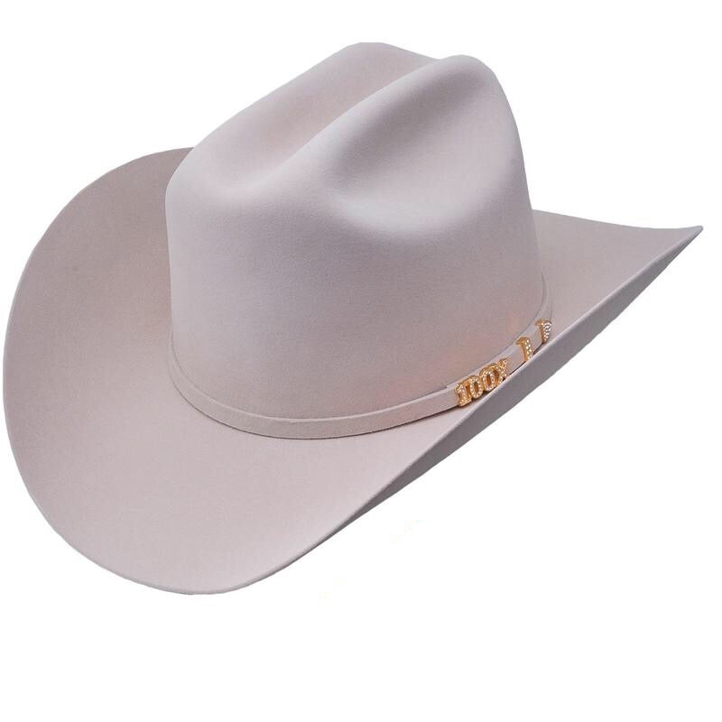 100x stetson beaver sales