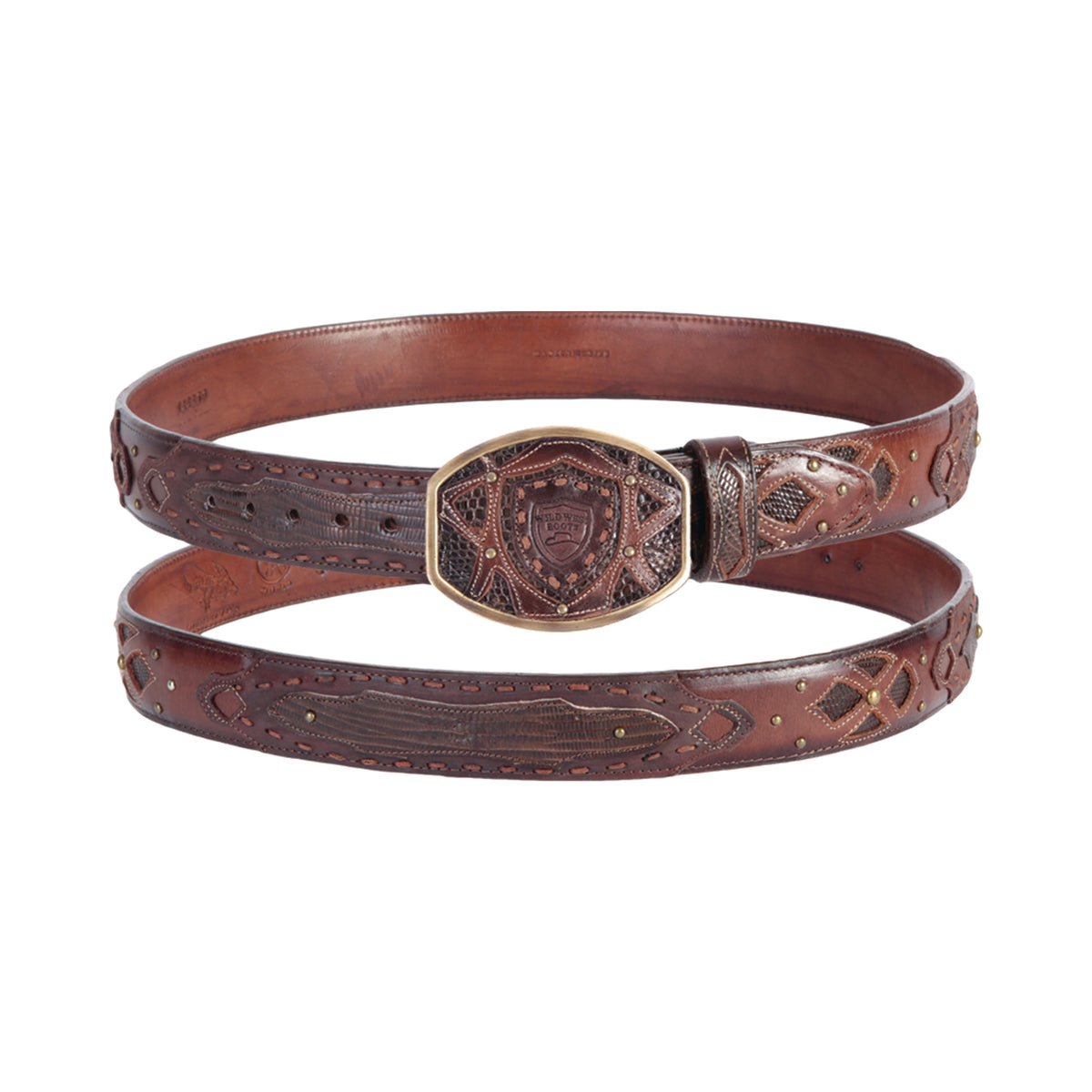 BELT TEJU LIZARD, Brown main image 1