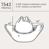 Stetson 250th Edition Skyline 6X Cowboy Felt Hat Silverbelly