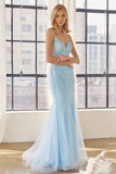 Juliet Evening Gown JT271