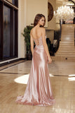 Nox Anabel  Evening Gowns T1862