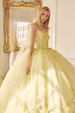 Juliet Quinceañera Dress JT1436