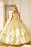 Juliet Quinceañera Dress JT1436