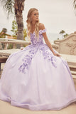 Juliet Evening Gowns JT1433
