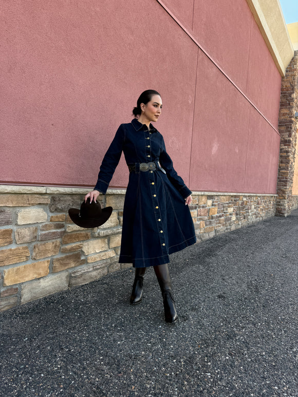 Maria Luisa Denim Dress