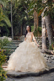 Juliet Quinceañera Dress JT1423