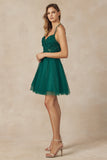 Juliet Dama Dress JT864
