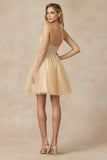 Juliet Dama Dress JT864