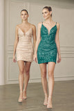 Juliet Evening Gown JT870