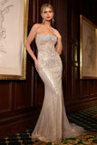 LaDivine by Cinderella Divine Evening Gown CD756
