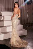 LaDivine by Cinderella Divine Evening Gown CD756