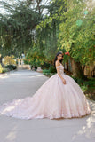 Juliet Quinceañera Dress JT1460J
