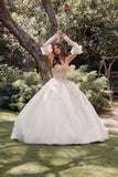 Juliet Quinceañera Dress JT1465H