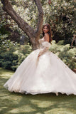 Juliet Quinceañera Dress JT1465H
