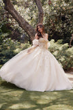 Juliet Quinceañera Dress JT1465H