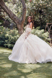 Juliet Quinceañera Dress JT1465H