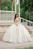Juliet Quinceañera Dress JT1465H