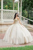 Juliet Quinceañera Dress JT1465H