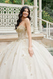 Juliet Quinceañera Dress JT1465H
