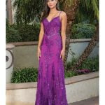 Dancing Queen Evening Gowns 4118