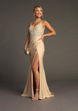 Chicas Evening Gowns YG5033