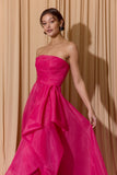 Eureka Evening Gown EK206