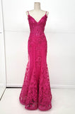 Chicas Evening Gown C816