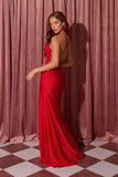 Eureka Evening Gowns 9969