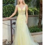 Dancing Queen Evening Gowns 4311