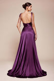 LaDivine by Cinderella Divine Evening Gown BD104