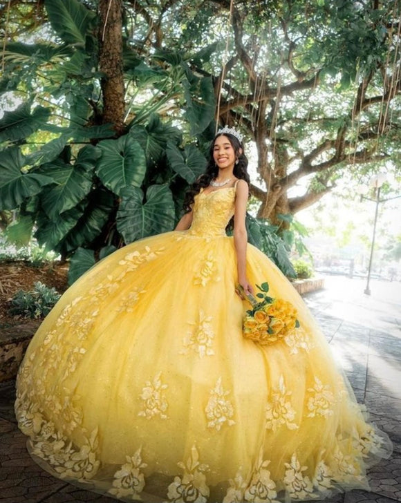 Chicas Quinceañera CHF3045
