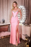 LaDivine by Cinderella Divine Evening Gown CD390