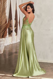 LaDivine by Cinderella Divine Evening Gown CD809