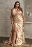 LaDivine by Cinderella Divine Evening Gown CH079c