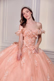 LaDivine by Cinderella Divine Quinceañera Dress 15731