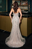 LaDivine by Cinderella Divine Evening Gown CC2421