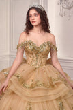 LaDivine by Cinderella Divine Quinceañera Dress 15746