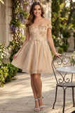 MayQueen Dama Dress MQ1854