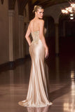LaDivine by Cinderella Divine Evening Gown CC491