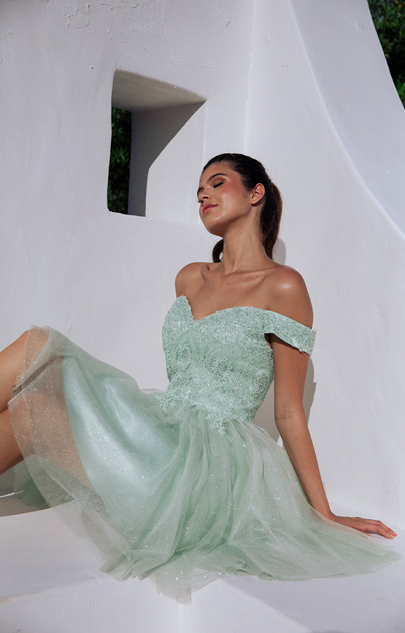 Eureka Evening Gowns 9833