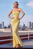 Amoris Evening Gowns T702