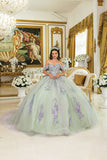 Dancing Queen Quinceañera Dress 5023