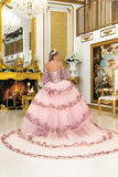 Dancing Queen Quinceañera Dress 5019