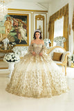 Dancing Queen Quinceañera Dress 5019