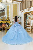 Dancing Queen Quinceañera Dress 5016