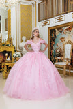 Dancing Queen Quinceañera Dress 5009
