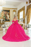 Dancing Queen Quinceañera Dress 5006