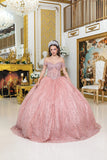 Dancing Queen Quinceañera Dress 1982