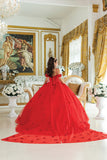 Dancing Queen Quinceañera Dress 1954